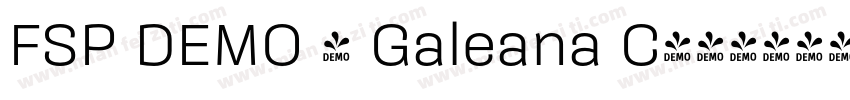 FSP DEMO - Galeana C字体转换